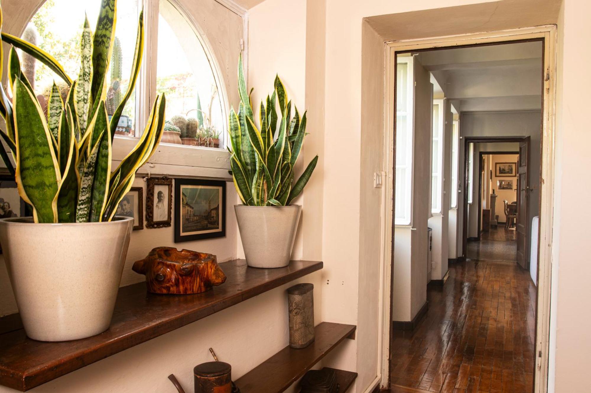 Palazzo Micheletti Lucca Apartment ภายนอก รูปภาพ
